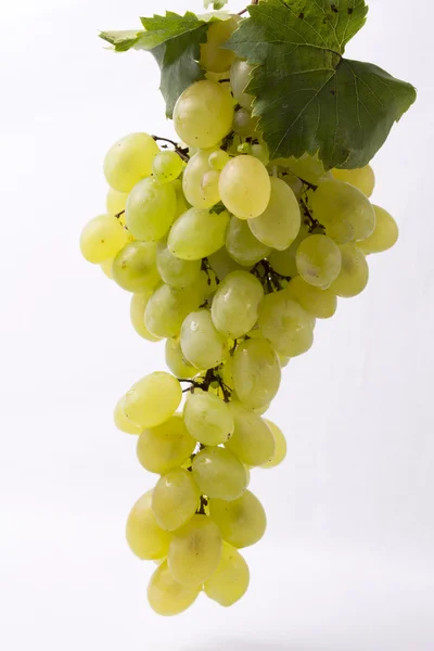 Свежие фрукты винограда с зелеными листьями на белом фоне — стоковое фото