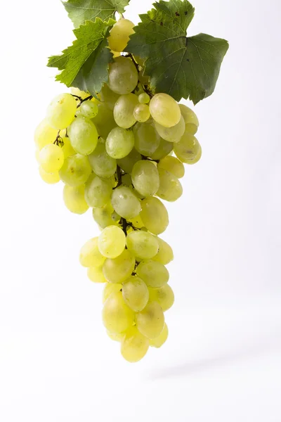Bando de uvas frescas com — Fotografia de Stock