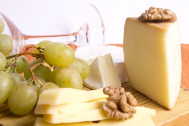 çeşitli peynir türleri