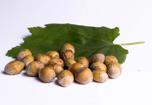 Φουντουκιά καρύδια με φύλλα — Φωτογραφία Αρχείου