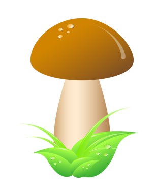 Mushroom – Bolete clipart