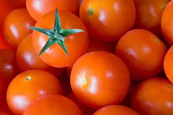 Gruppe af røde tomater - Stock-foto