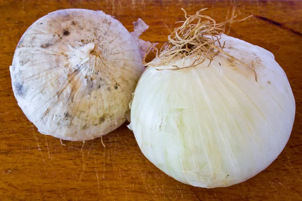 Dos bulbos de cebolla —  Fotos de Stock