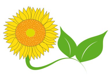 yellow sunflower clipart