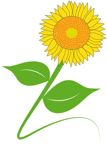 Bunga matahari kuning - Stok Vektor