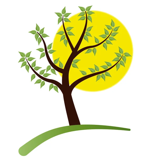 Tree leaf and moon — Stock Vector