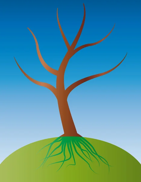 Дерево з коренем під землею — стоковий вектор