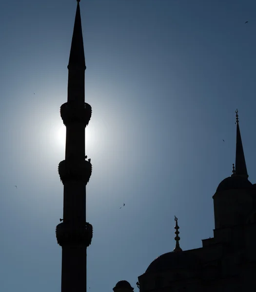 Blue Mosque silhouette — Stock Photo, Image
