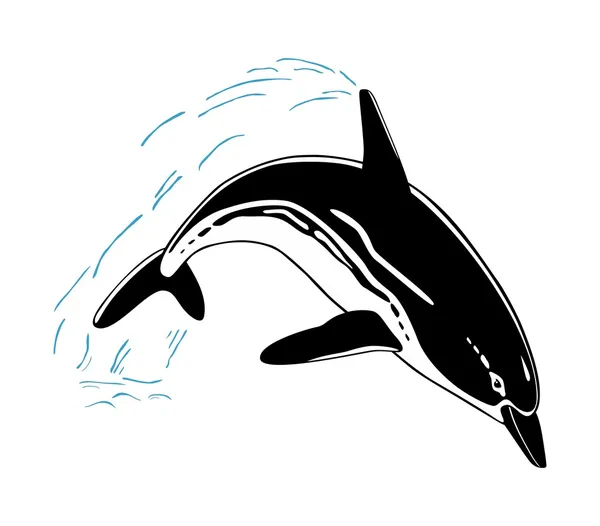 在白色背景上隔离的跳跃海豚 — 图库矢量图片