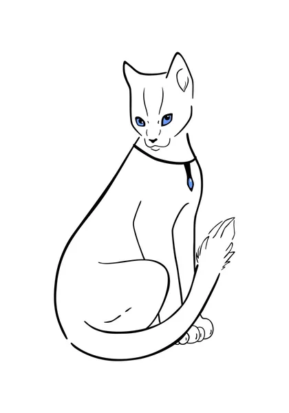 Güzel mavi gözlü kedi — Stok Vektör
