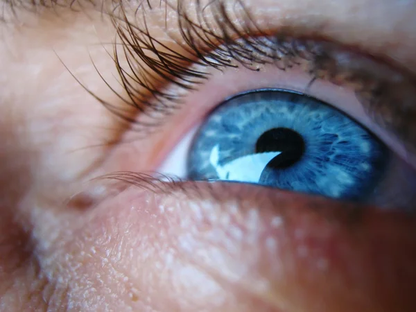 Голубые глаза крупным планом — стоковое фото