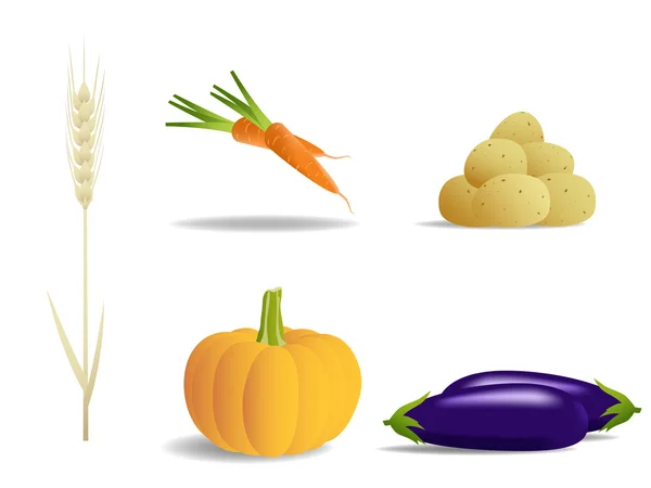 Ensemble de nourriture de légumes de couleur . — Image vectorielle