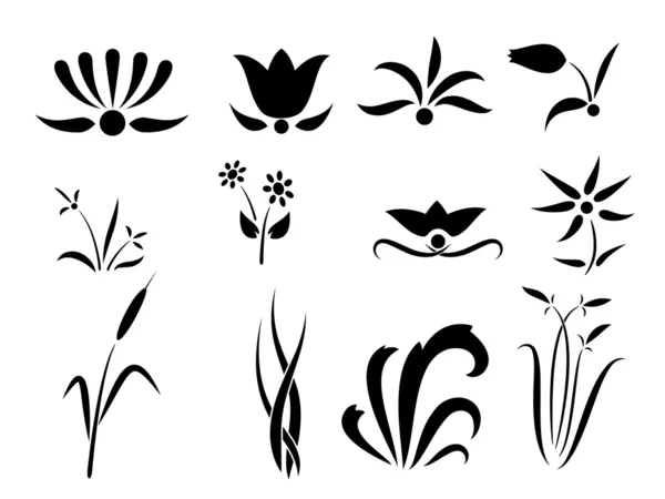 Set van bloemen en planten silhouetten ornament — Stockvector
