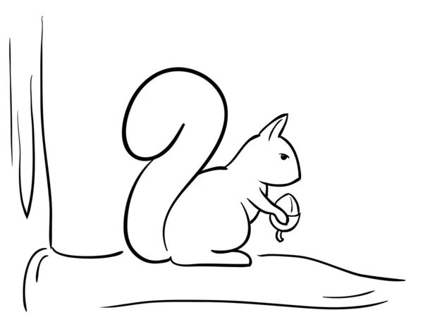 Écureuil vecteur sur la branche et l'écrou — Image vectorielle