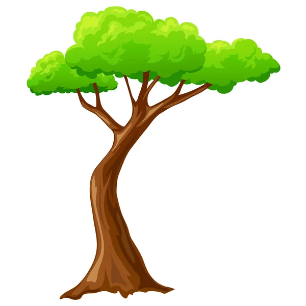 Cartone animato albero isolato su sfondo bianco — Vettoriale Stock