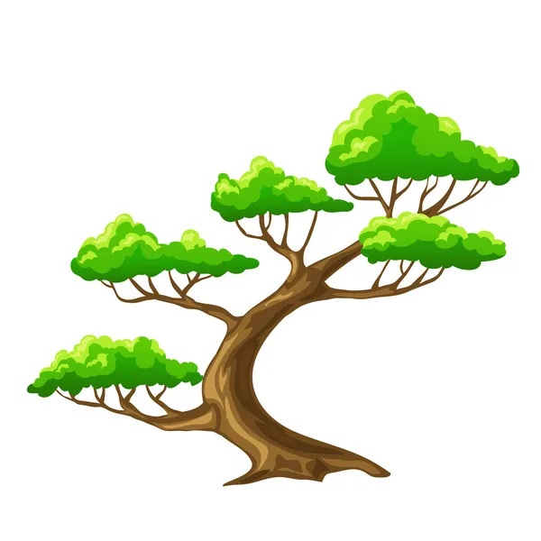 Cartoon vector tree bansai with white background — Stock Vector