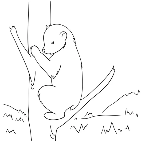 Hand-drawing wild black bear climbs a tree — Stock Vector