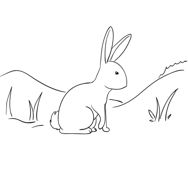 草原のウサギ — ストックベクタ