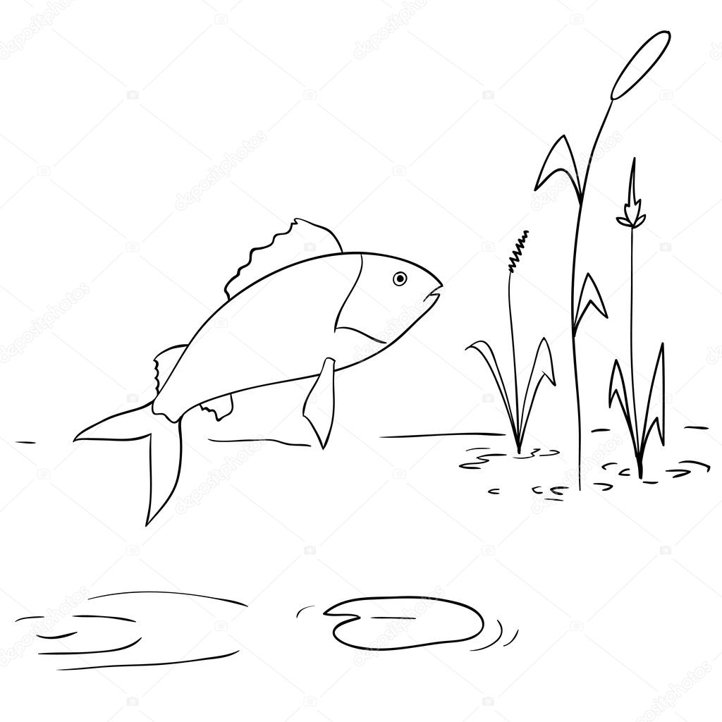 Cartoon River Fish Jumping Out From Water Stock Vector C Acidburn