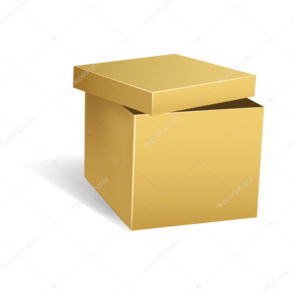 Cardboard box with opened lid