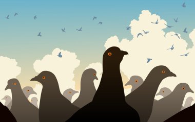 Pigeon crowd clipart