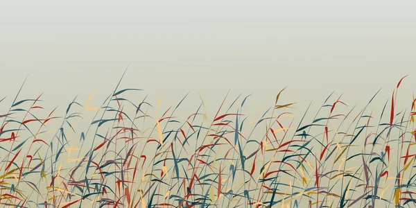 Reed förgrunden — Stock vektor