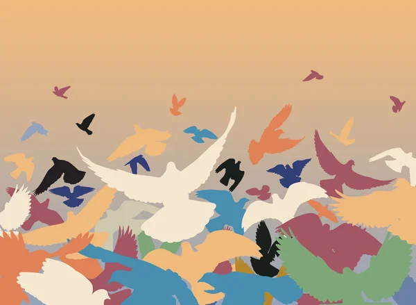 Pigeons de couleur — Image vectorielle