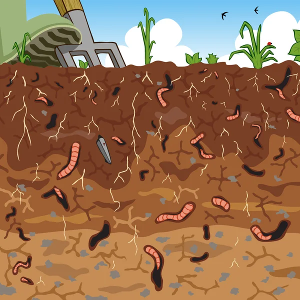 Soil and worms — Stock Vector