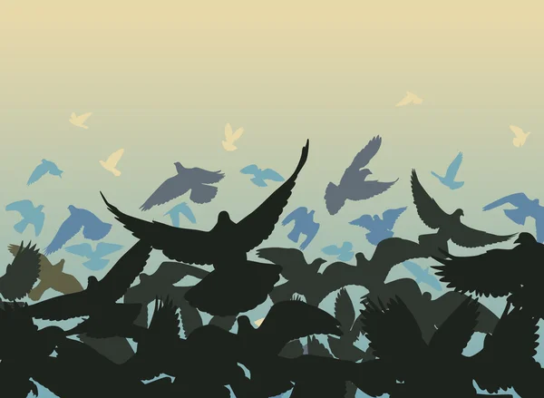 Bord de pigeon — Image vectorielle
