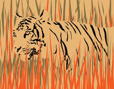 Tiger grass clipart