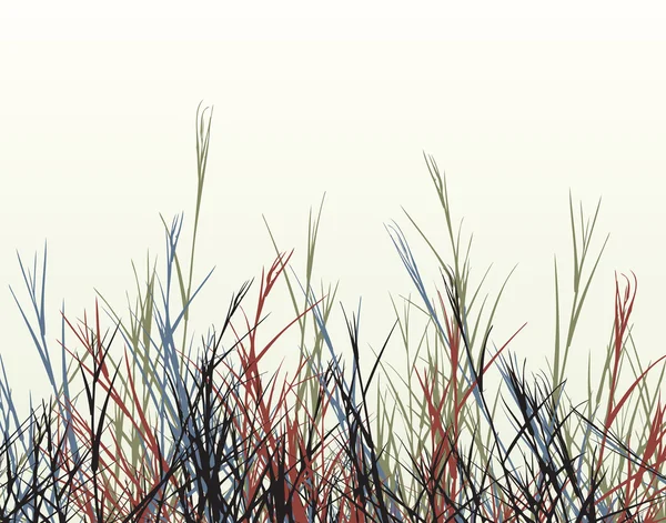 大まかな草 — ストックベクタ