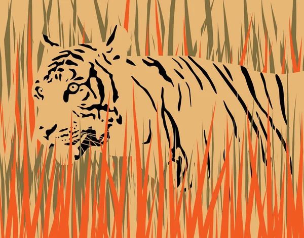 Hierba tigre — Archivo Imágenes Vectoriales