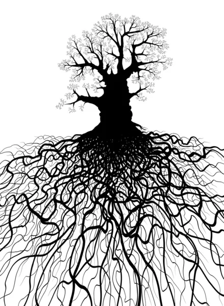 Baum mit Wurzeln — Stockvektor
