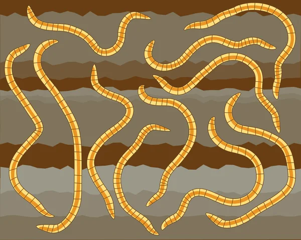 Worms in soil — Stock Vector