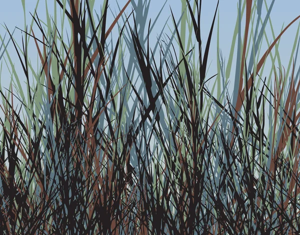 Jungle d'herbe — Image vectorielle
