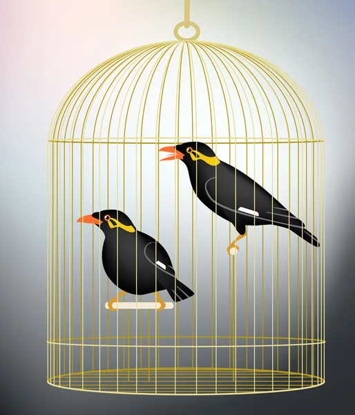 Kafesli myna kuşlar — Stok Vektör