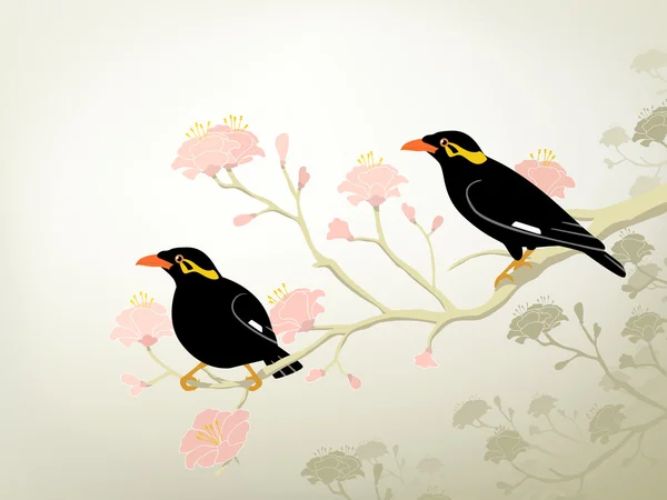 stock vector Myna birds