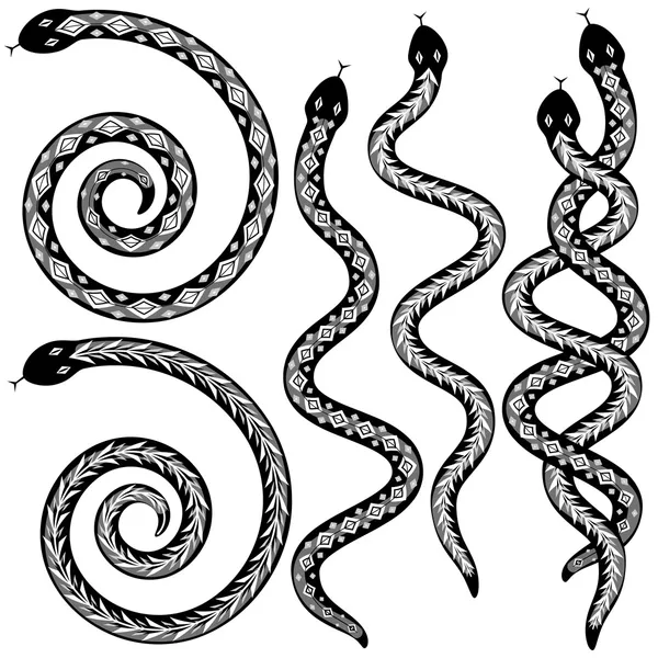 Snake designs — Stock Vector