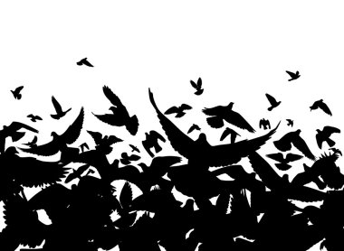 Pigeon flight clipart