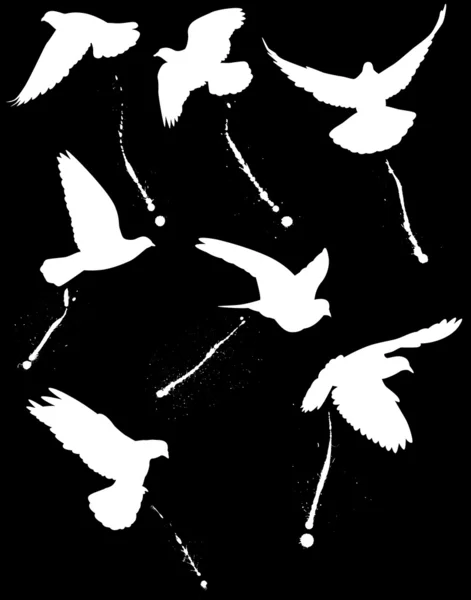 Compte-gouttes pour oiseaux — Image vectorielle