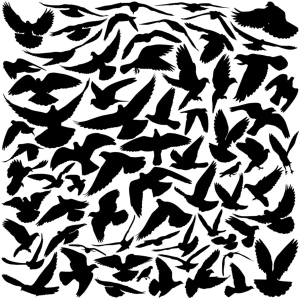 Güvercin silhouettes — Stok Vektör