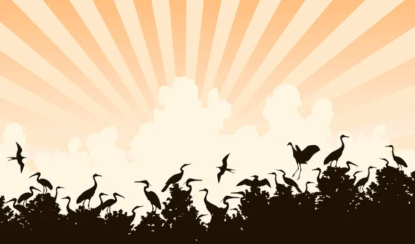 Colonie d'oiseaux — Image vectorielle