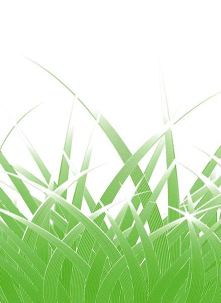 Hojas de hierba — Vector de stock