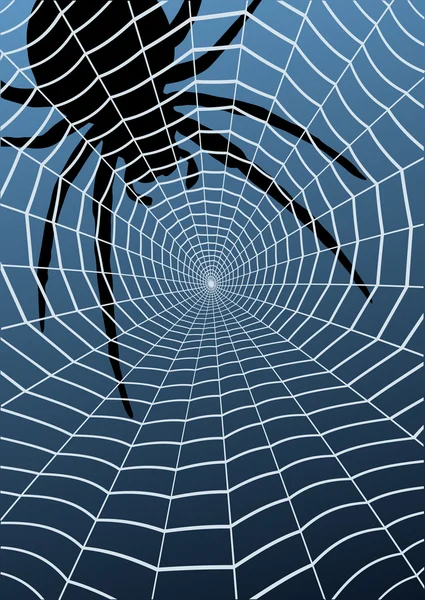 Spinnen en web — Stockvector