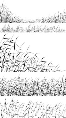 Reed foregrounds clipart