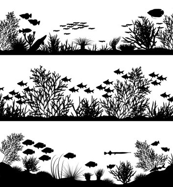Coral foregrounds clipart