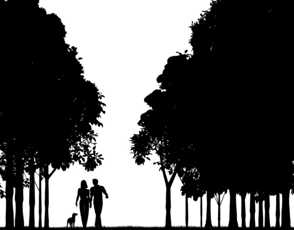 Promenade en forêt — Image vectorielle