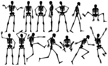 Skeletons clipart