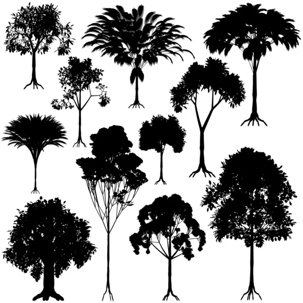 Träd konturer — Stock vektor