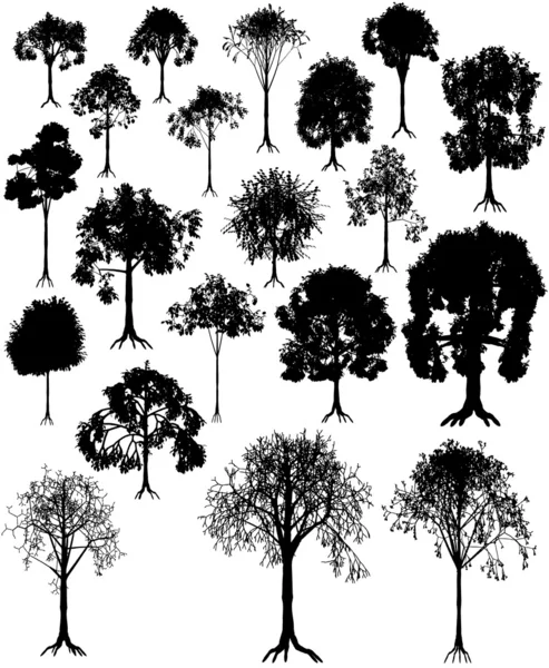 Ağaç Siluetleri — Stok Vektör